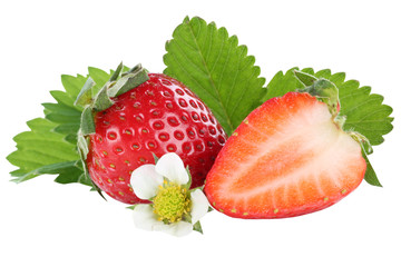 Erdbeere Erdbeeren Beeren Beere Frucht Früchte Blätter Freisteller freigestellt isoliert