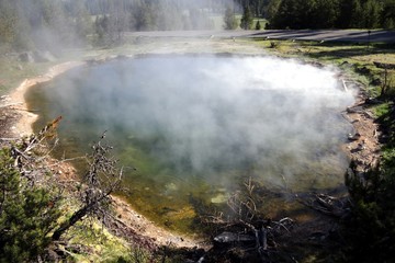 Fototapeta na wymiar Hydrothermal activity – Yellowstone NP – USA 