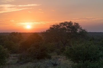 Sonnenuntergang im Busch in Südafrika