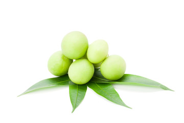 Plum Mango or Marian Plum fruits (Bouea macrophylla Griffith) isolated on white background with clipping path and soft shadow