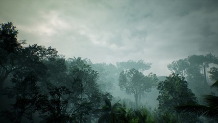 Timelapse widok na piękną bujną zieloną dżunglę. Renderowanie 3D. - 211488975