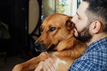 Portrait of a handsome man hugging his lovely golden red dog 