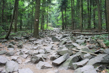 Gołoborze w Górach Świętokrzyskich © Monika