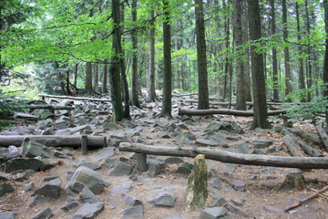 Gołoborze w Górach Świętokrzyskich © Monika