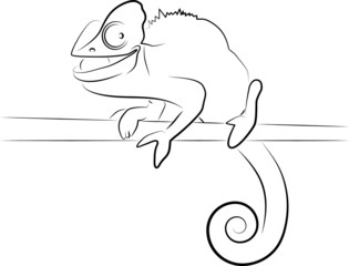 chameleon in black contour on isolated white background