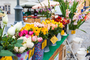Obraz na płótnie Canvas Tubs of fresh colorful cut flowers on sale in a street market