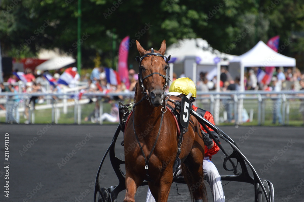 Poster cheval de courses