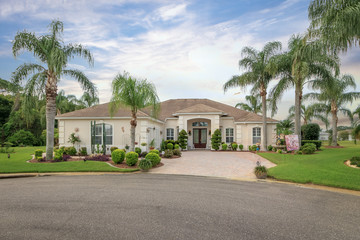 Beautiful Home with Palms