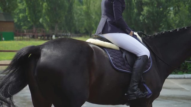 The girl climbs on to peel and rides around a young girl riding a strong brown horse outdoors sandy parkour dressage arena at dawn. The girl climbs up to break and goes around in a circle. 4k