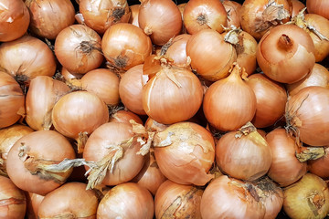 Plenty of onions as a background