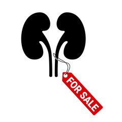Kidney is for sale - organ trafficking - money profit based on donation of human organ for transplation. Vector illustration