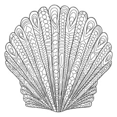 Zentangle shell. Seashell sketch. Ocean abstract shell. Underwater. Sea and ocean. Summer zentangle illustration. Zentangle illustration.
