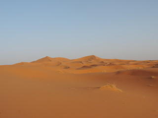 Fototapeta na wymiar Desert Dunes of Morocco