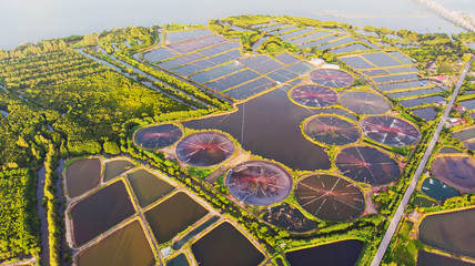 Aerial view of shrimp farm and air purifier in Thailand. Continuous growing aquaculture business is exported to the international market. © applezoomzoom