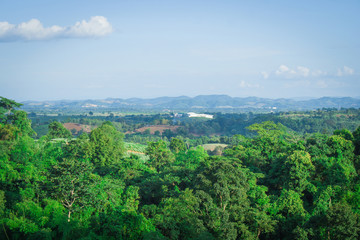 Obraz premium Beautiful landscape view in summer seasonal of green trees with mountain and blue sky in the background. (Selective focus)