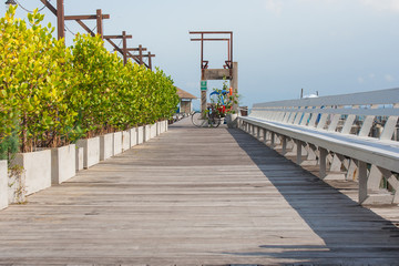 Long wooden bridge into the sea along side with green bush and wooden bench with blue sky in the background. (Selective focus)