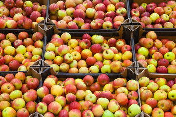 A pile of apples in supermarket as background, texture