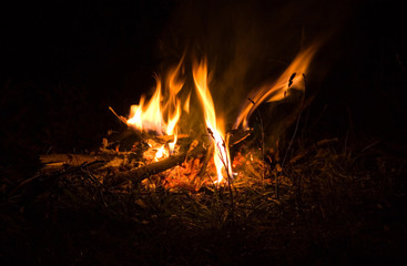 fire in nature . bokeh from the fire . blurred backgrounds . Space views.