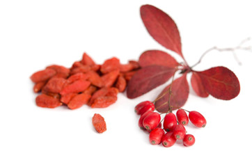 Branch of ripe red barberries and dried goji berries isolated on white background