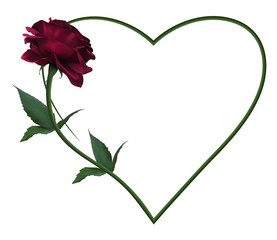 Realistic violet rose, romantic frame, heart