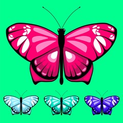 vector butterfly set 16