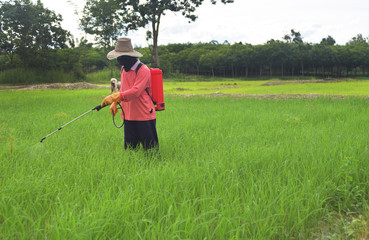 Plakat Farmers are spraying pesticides in the fields.