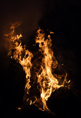 Fire flames on a black background