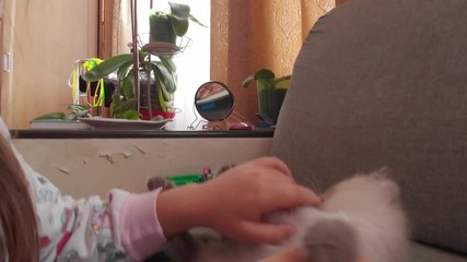 Girl playing with kitten