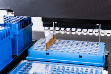 Automation in the clinical laboratory. Pipetting robot laboratory. Medicine robotics. NGS DNA...