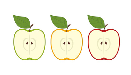 Vector set of apples. Vector  half of apple. Apples vector illustration