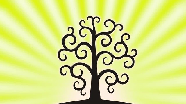 Tree of life against the background of the rising sun with rotating rays. Video. The colors of the sky change in the order of the rainbow. Colorful sky. Video.