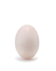 White egg isolated  on a white background