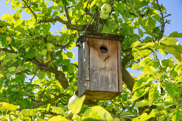 selbstbau Vogelhäuschen im eigenen Garten 