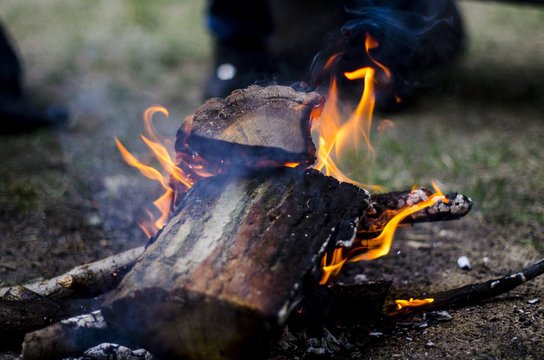 Burning branches with smoke. Campire, bonfire.