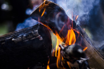 Naklejka premium Burning branches with smoke. Campire, bonfire.