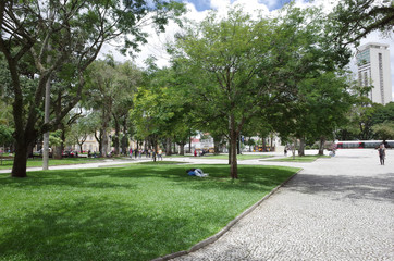 Curitiba park