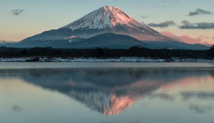 Tuinposter Mount Fuji, Japan © forcdan