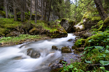 Mountain water stream in the Dolomites