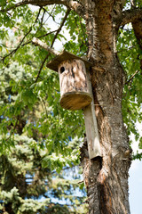 Fototapeta premium Bird House in the tree