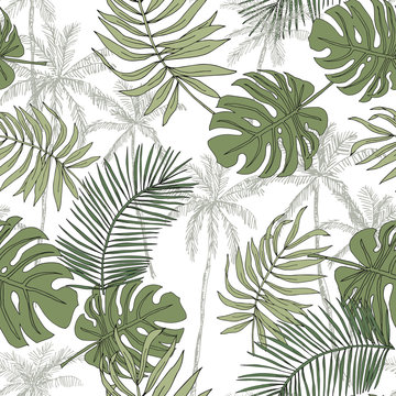 Green palm trees, banana leaves with white background. Vector seamless pattern. Tropical jungle foliage illustration. Exotic plants greenery. Summer beach floral design. Paradise nature graphic