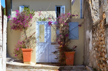 Beautiful window and door 