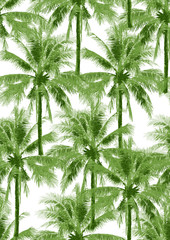 seamless pattern green coconut tree illustration on white background - 211507555