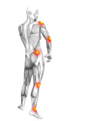 Conceptual human muscle anatomy with red and yellow hot spot inflammation or articular joint pain for health care therapy or sport concepts. 3D illustration man arthritis or bone osteoporosis disease - obrazy, fototapety, plakaty