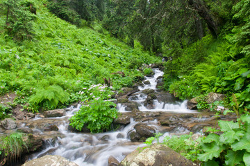 Fototapeta na wymiar Fast mountain river on long exposure in summer