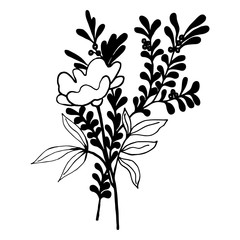 floral illustration