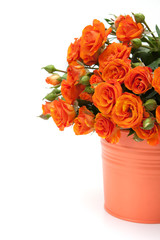 Bouquet of red roses on white.