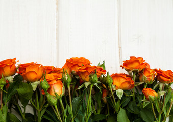 Bouquet of red roses on white.