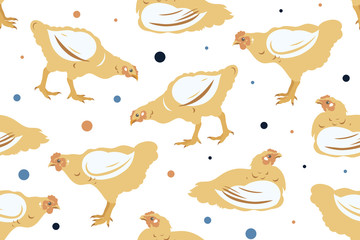 Seamless pattern with chicken broiler. Poultry. Farming. Livestock raising. Vector illustration.