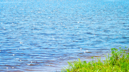River in Sunny day.Scenic view.