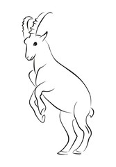 Горный козел